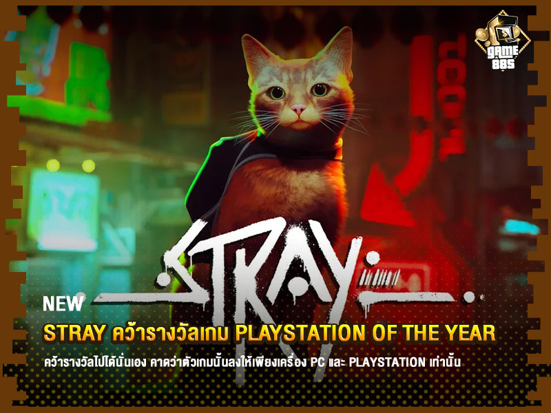 ข่าวเกม Stray คว้ารางวัลเกม PlayStation of the Year